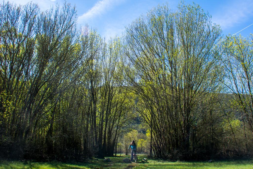 Retiro Do Bosque Country House Villa Minde Exterior foto